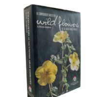 The Comprehensive Guide to the Wild Flowers of the United Arab Emirates By Marijcke Jongbloed - Image 3