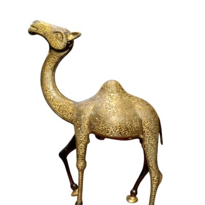 camel