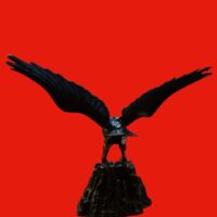 The Falcon - Image 3