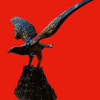 The Falcon - Image 4